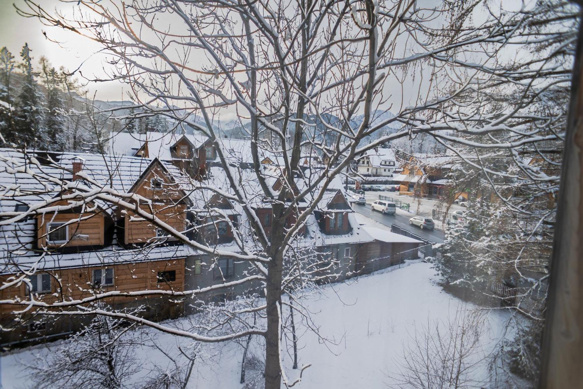 Willa Owca I Baran Zakopane Exteriör bild